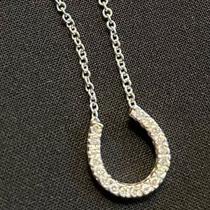 Diamond Horseshoe silver necklace